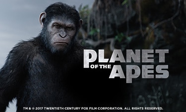 Royal Panda Planet of the Apes Turnering