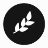 Casinoets logo fra den opprinnelige anmeldelsen