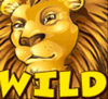 wild symbol