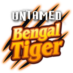untamed bengal tiger video slot