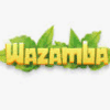 Wazamba logo